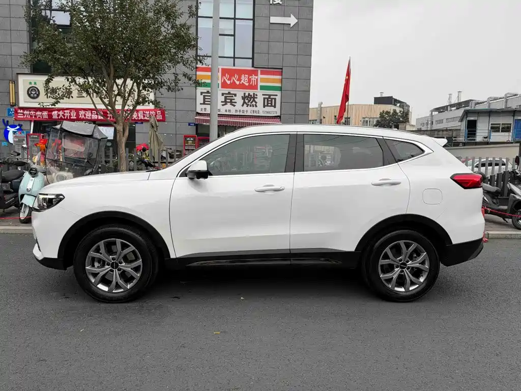 Haval H6 — миниатюра 3