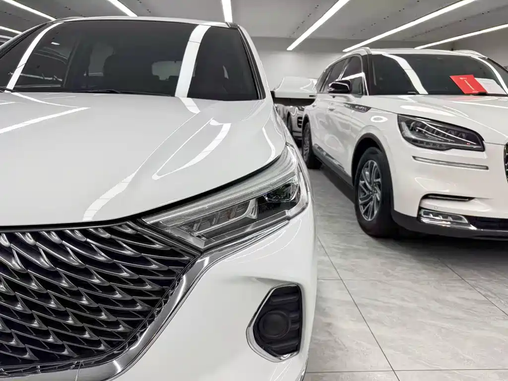 Haval M6 — миниатюра 23