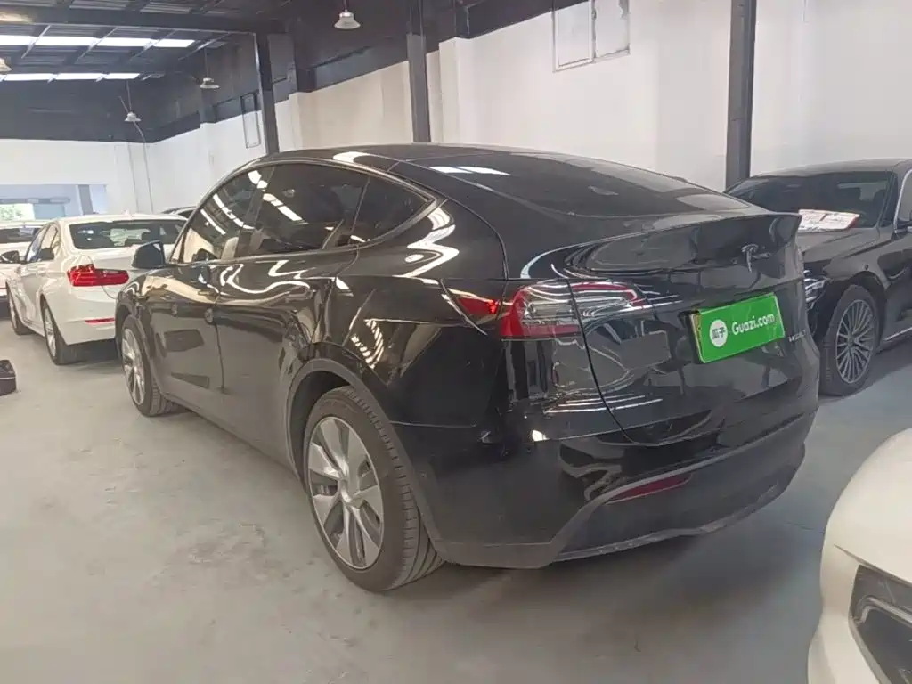 Tesla Model Y — миниатюра 5
