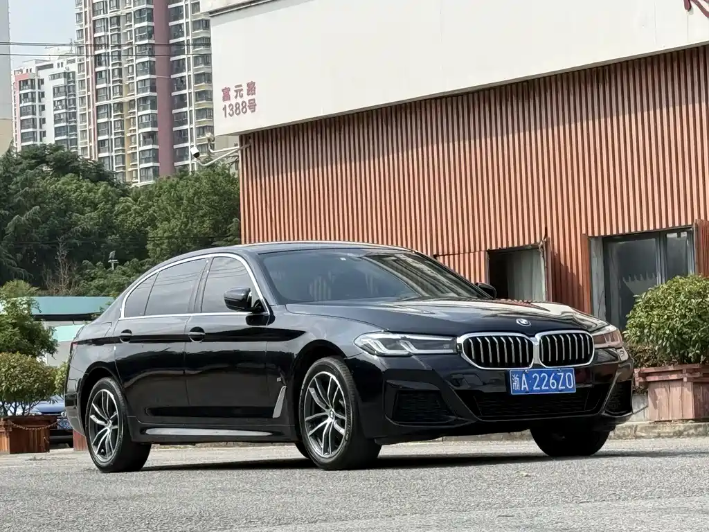 BMW 5 Series — миниатюра 9