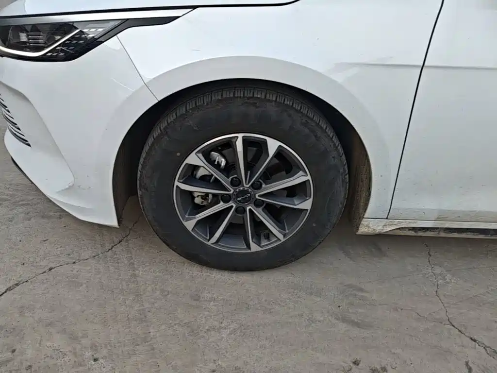 BYD Destroyer 05 — миниатюра 23