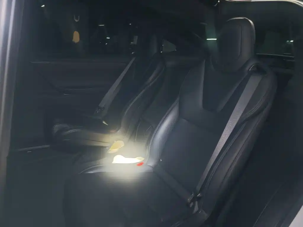 Tesla Model X — миниатюра 18