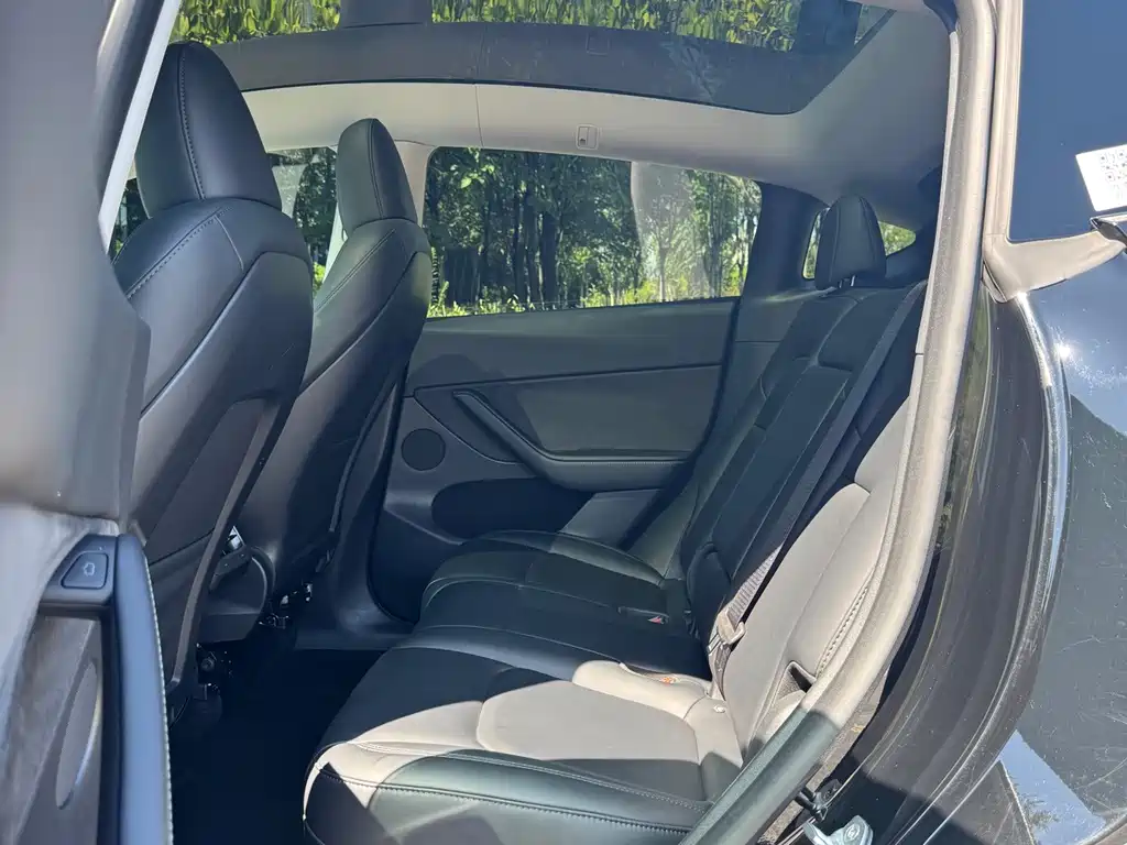 Tesla Model Y — миниатюра 20