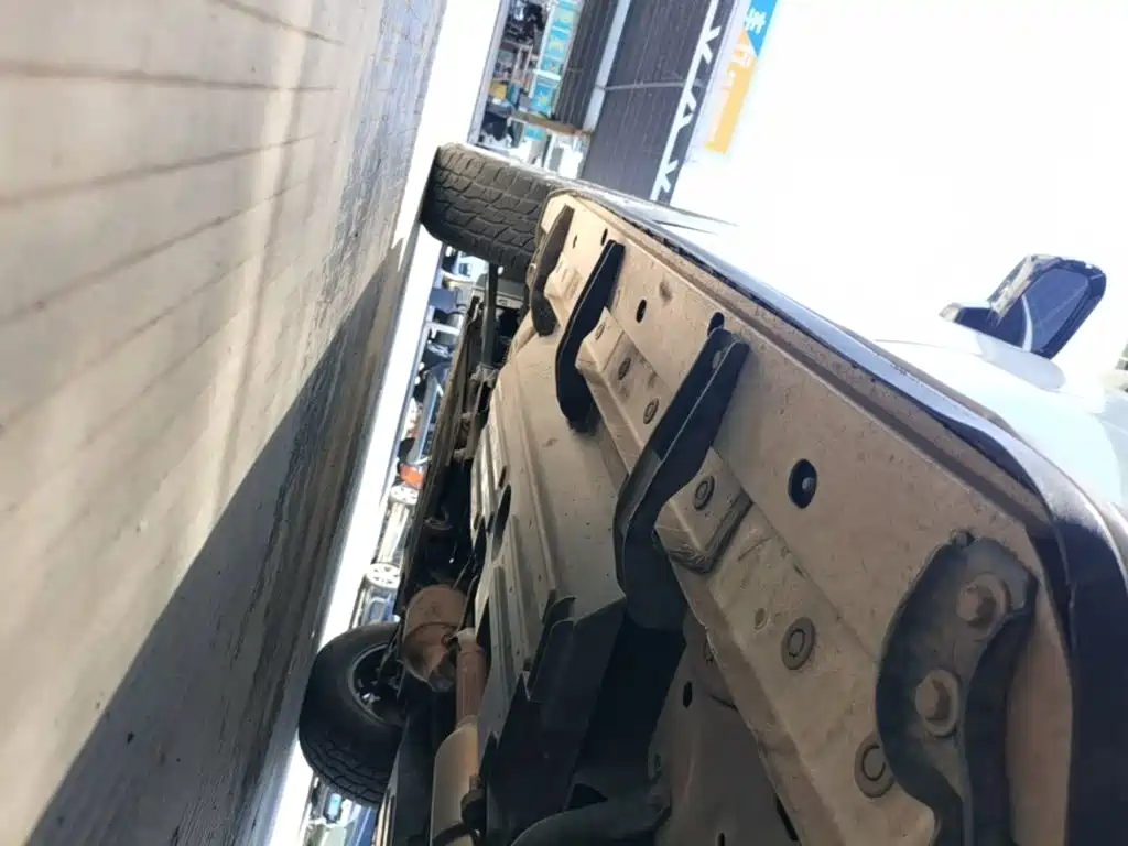 Haval Big Dog — миниатюра 22