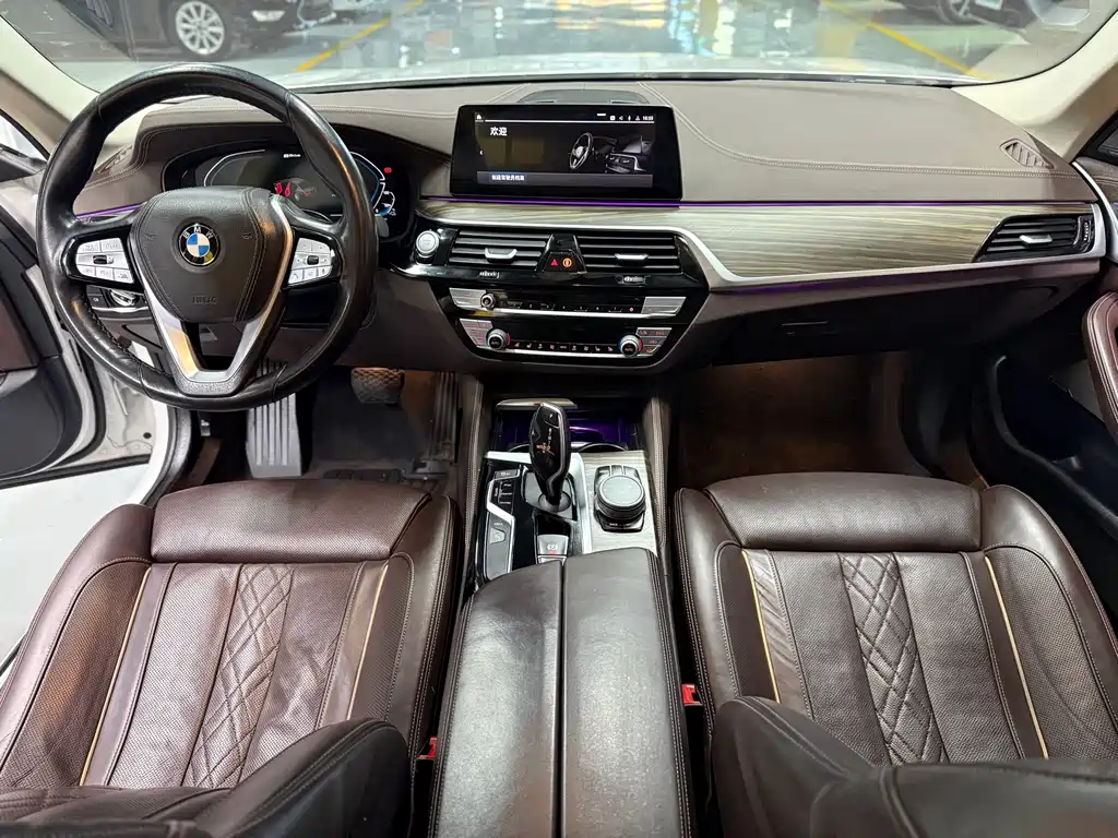 BMW 5 SERIES NEW ENERGY