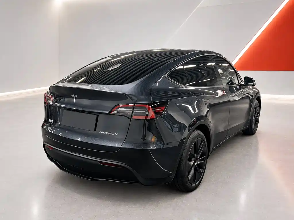 Tesla Model Y — миниатюра 6