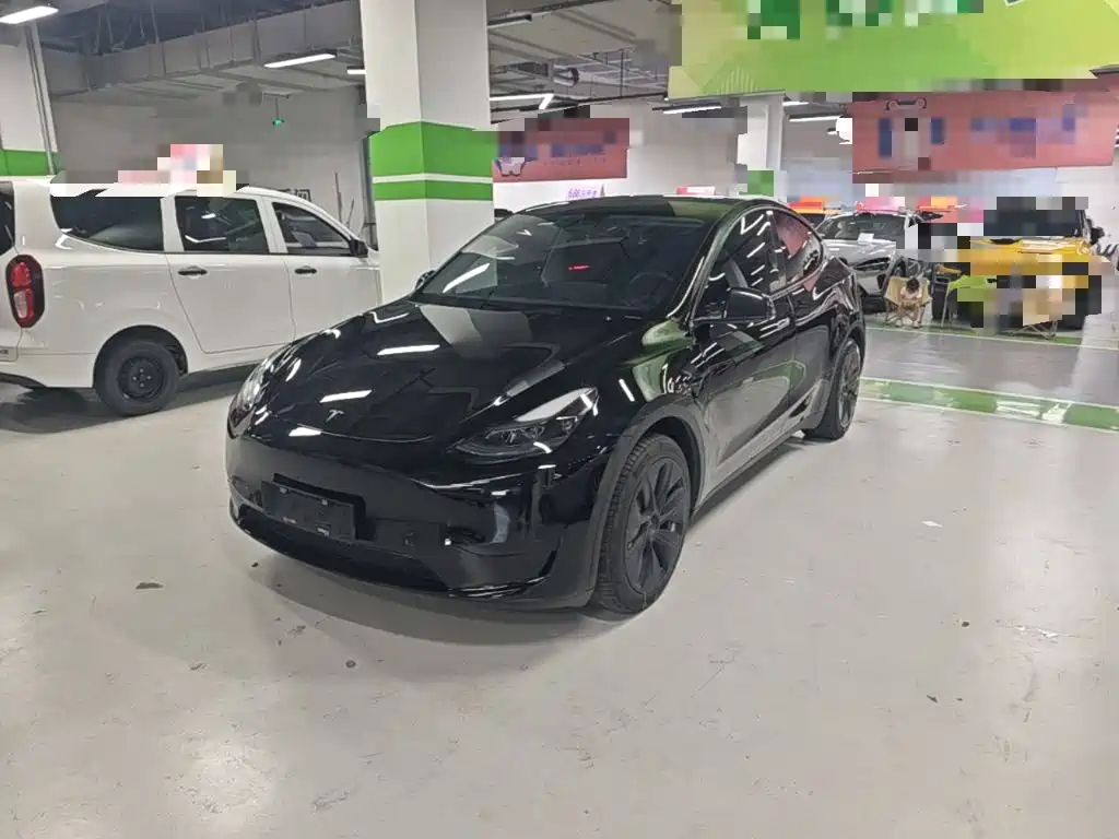 Tesla Model Y — миниатюра 2
