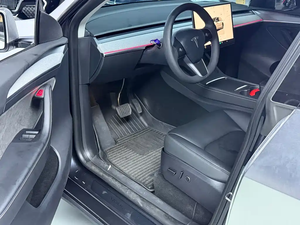 Tesla Model Y — миниатюра 5