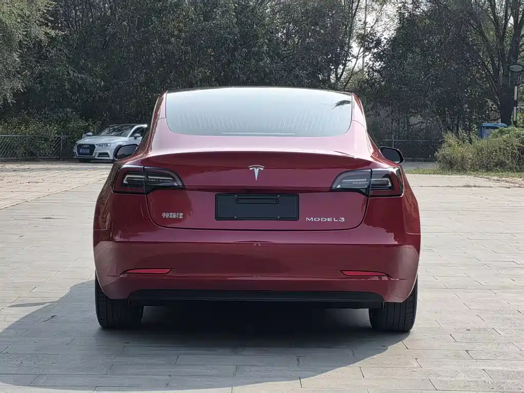 Tesla Model 3 — миниатюра 4