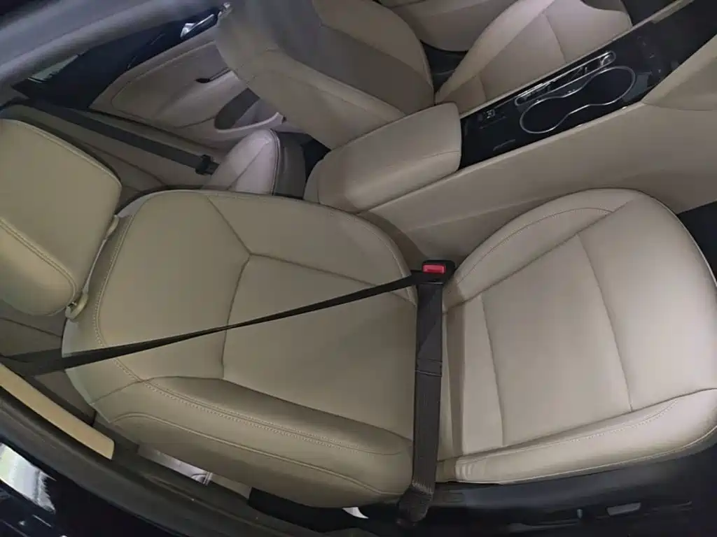 Buick Regal — миниатюра 25
