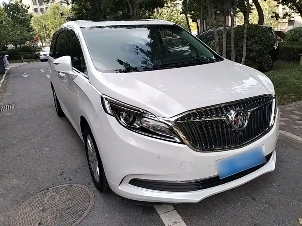 Buick GL8 — миниатюра 4