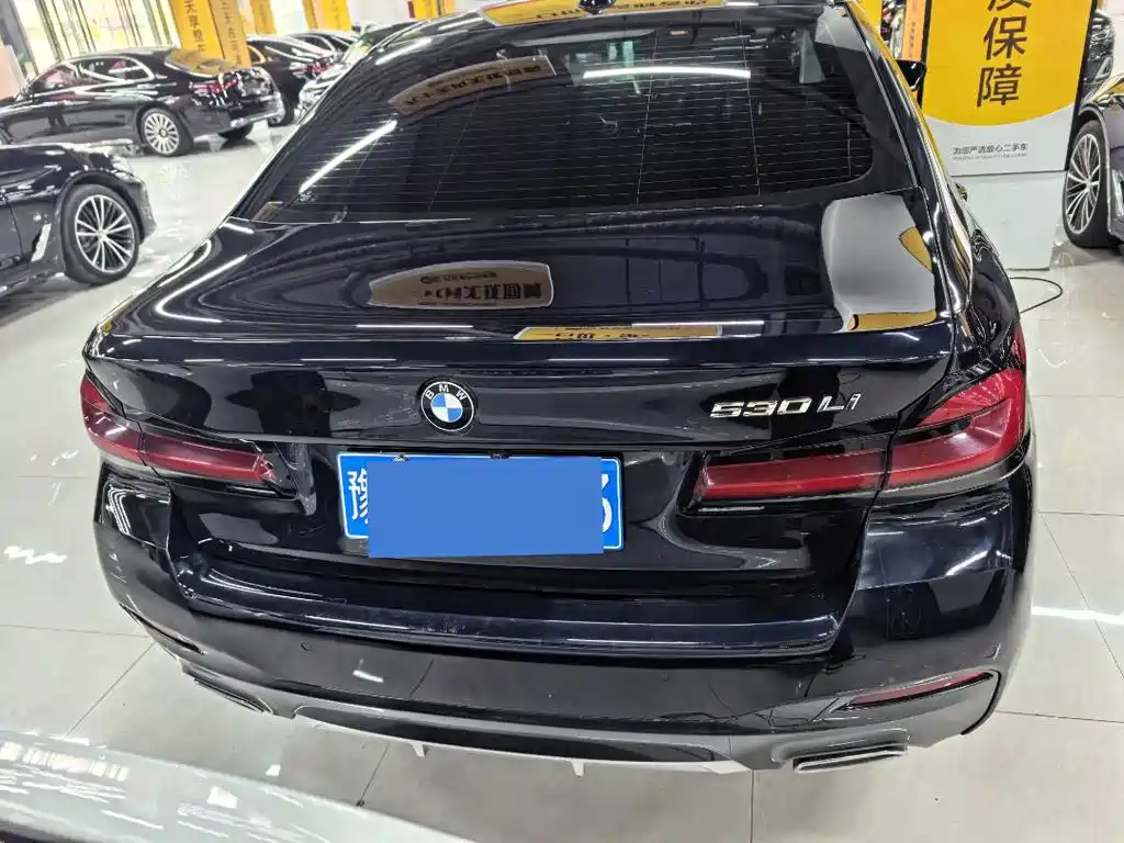 BMW 5 Series — миниатюра 13