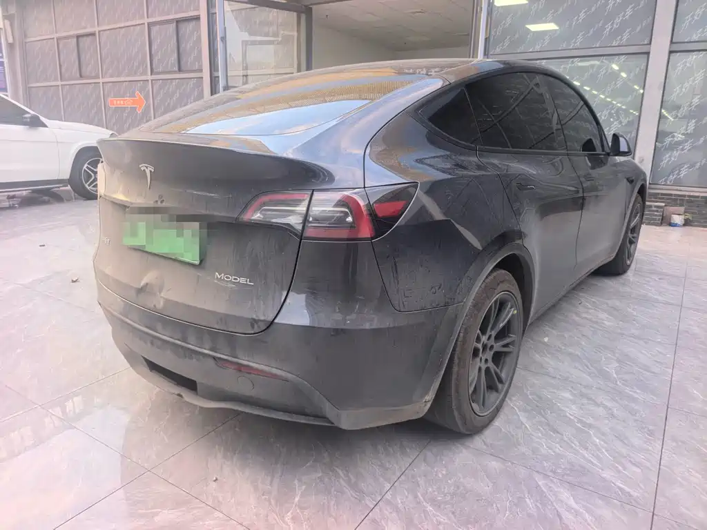 Tesla Model Y — миниатюра 2