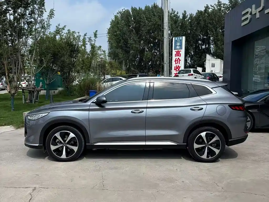 BYD PLUS — миниатюра 2
