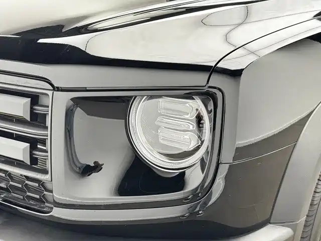 Haval Big Dog — миниатюра 18