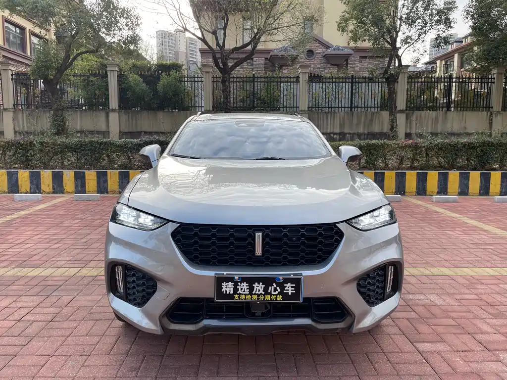 WEI PAI WEI BRAND VV7