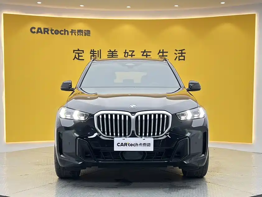 BMW X5 — миниатюра 3