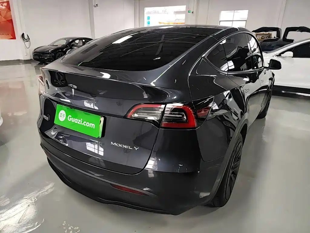 Tesla Model Y — миниатюра 7