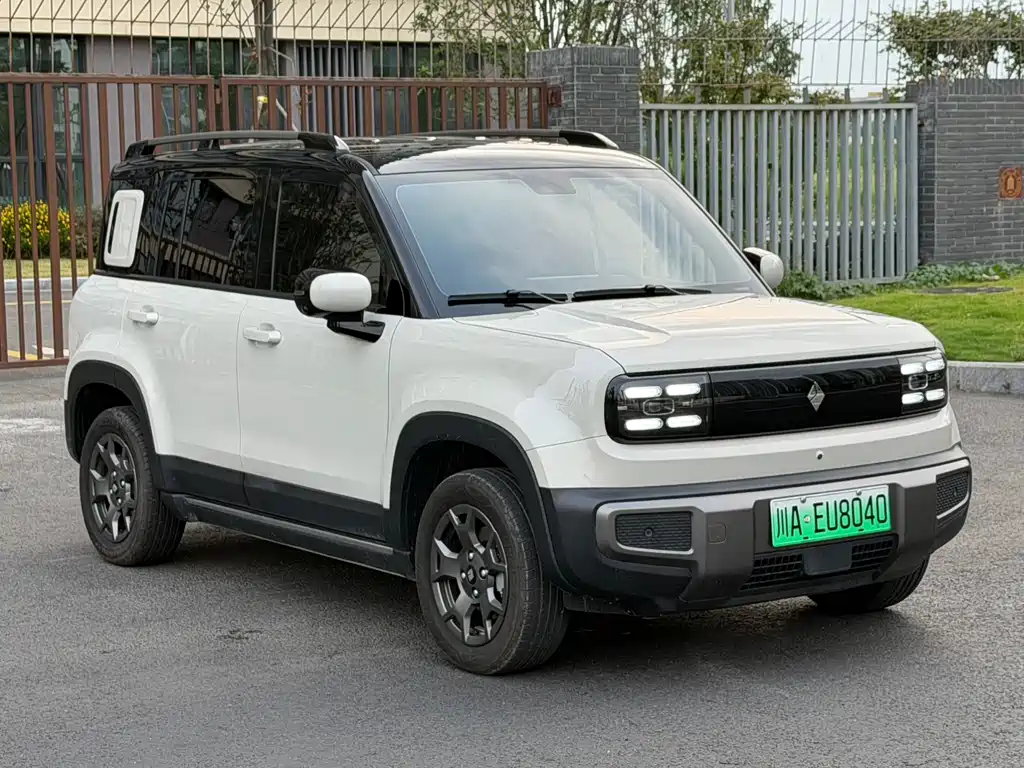 Baojun YepPlus Plus 2026 501km Flagship
