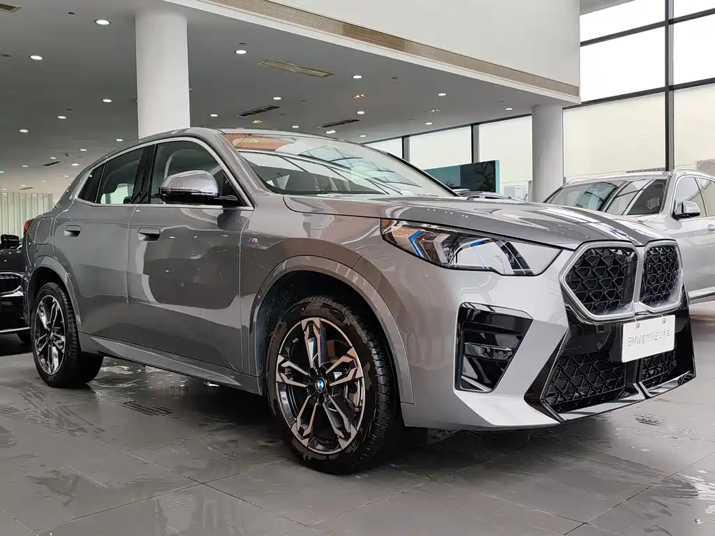 BMW X2 (Import) — миниатюра 3