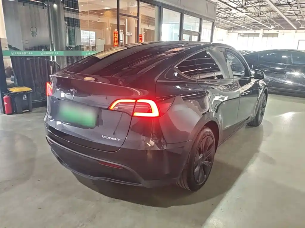Tesla Model Y — миниатюра 7