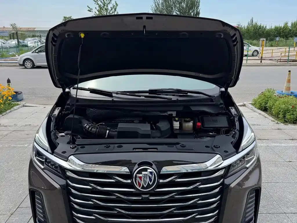 Buick GL8 — миниатюра 7