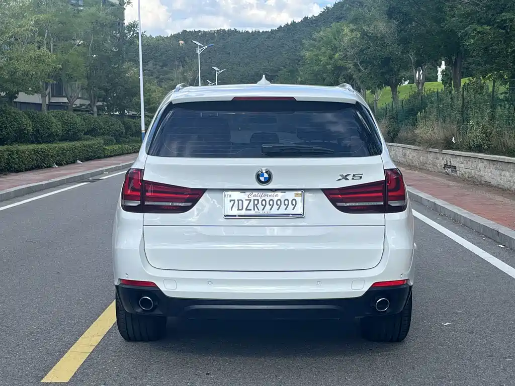 BMW X5 (Import) — миниатюра 8