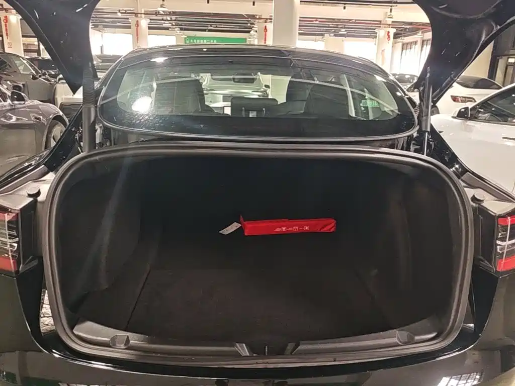 Tesla Model 3 — миниатюра 19