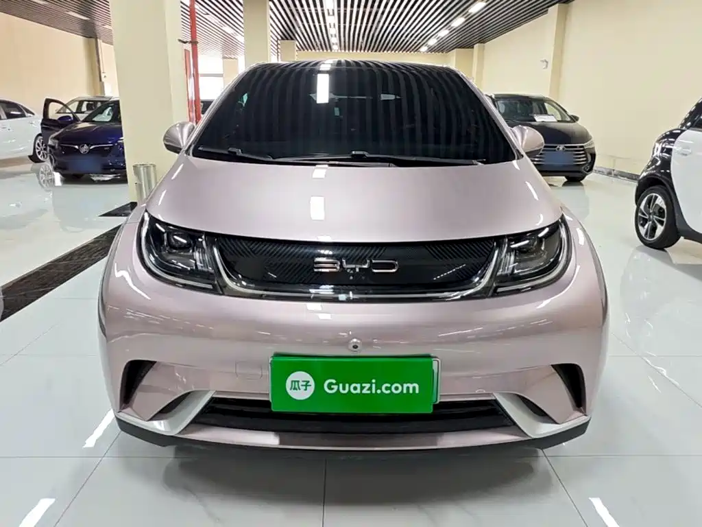 BYD Dolphin — миниатюра 3