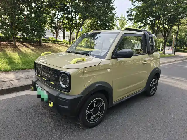 2025 Geely LC (Panda)