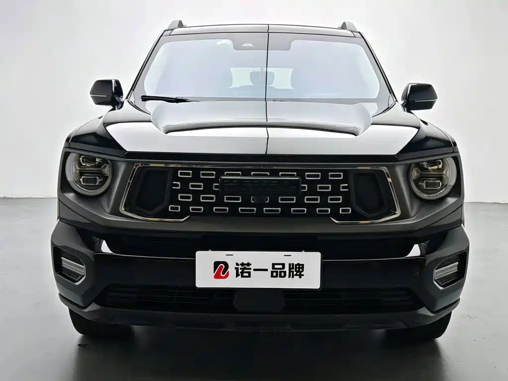 Haval Big Dog PLUS New Energy — миниатюра 2