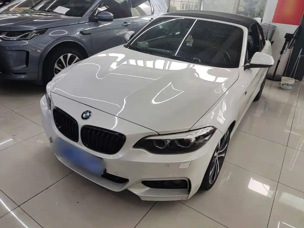 BMW 2 Series (Import)