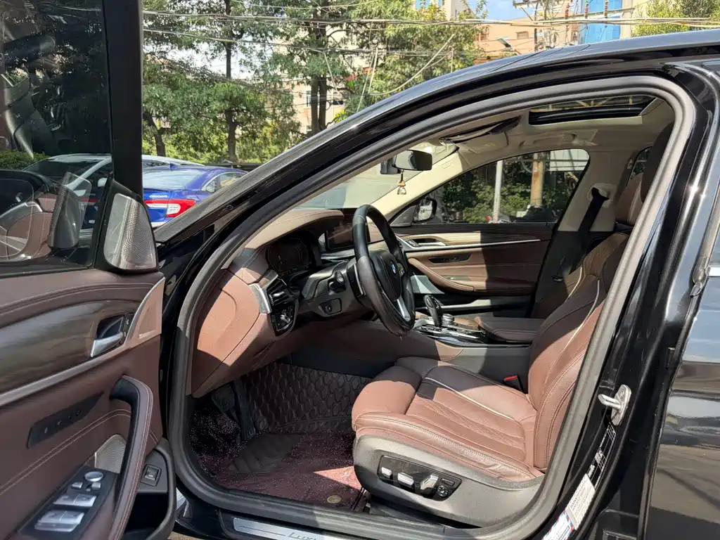 BMW 5 Series 5 2021 530Li Premium Luxury
