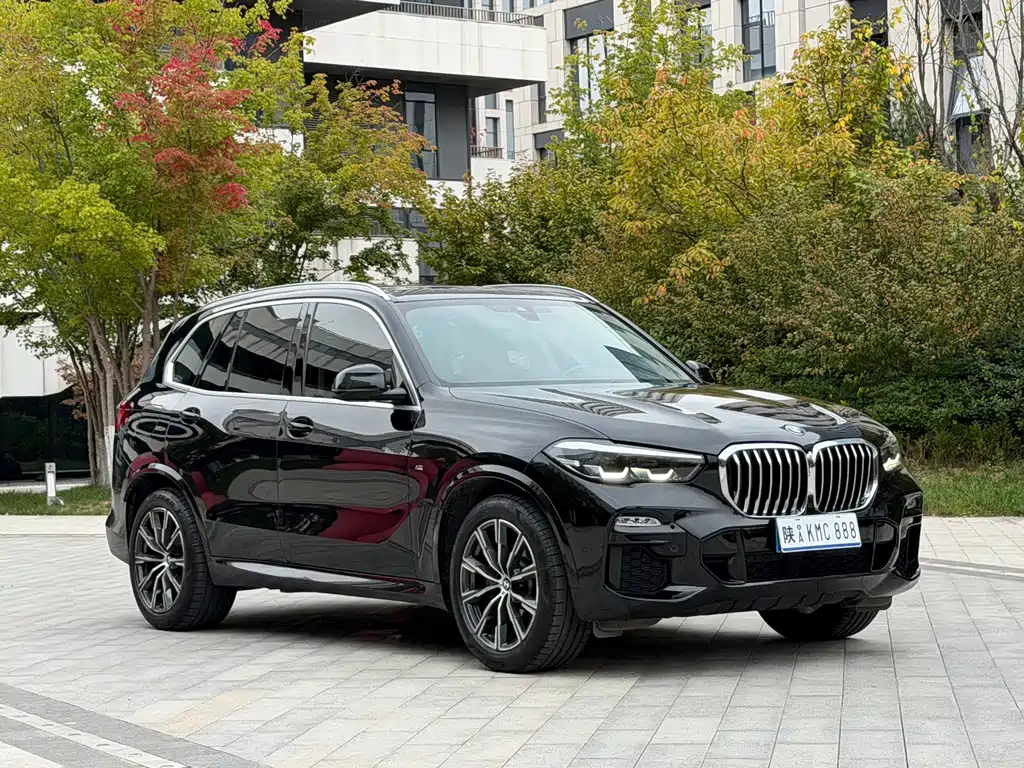 BMW X5 (Import) — миниатюра 3