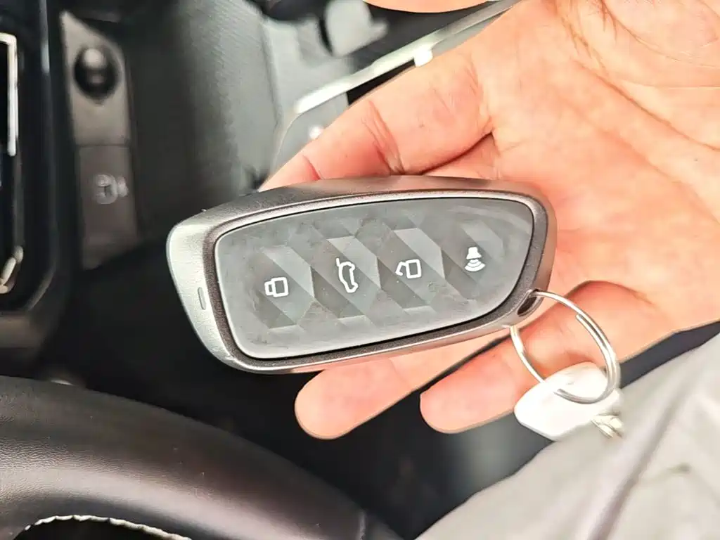 Haval Big Dog PLUS New Energy — миниатюра 9