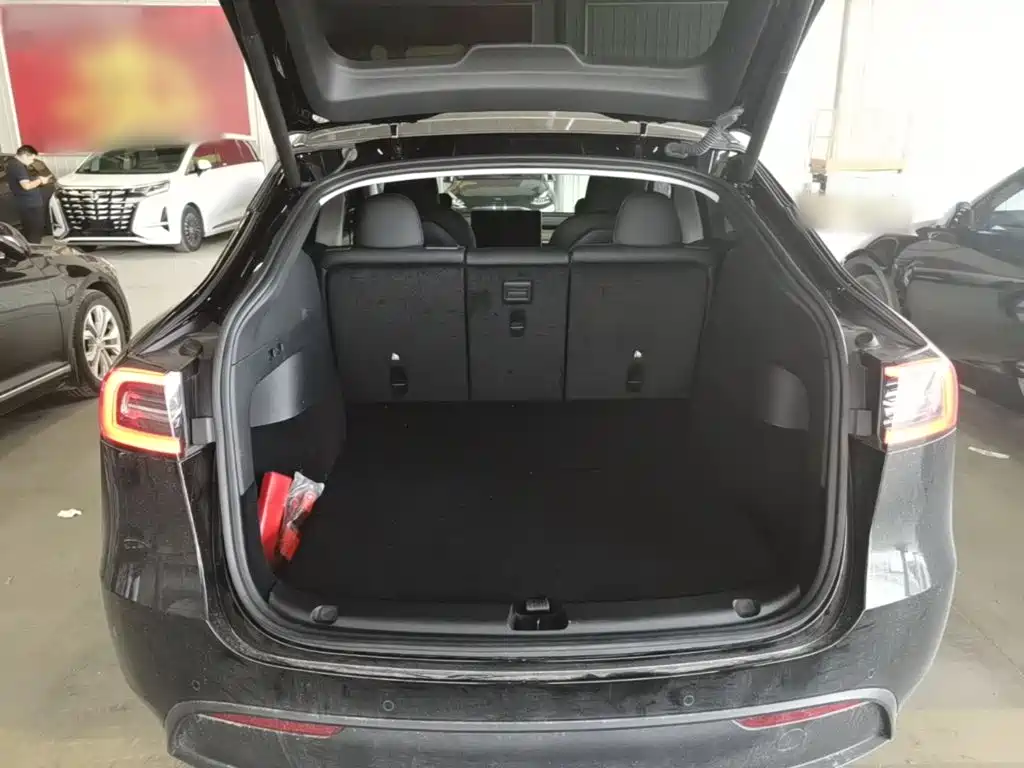 Tesla Model Y — миниатюра 19