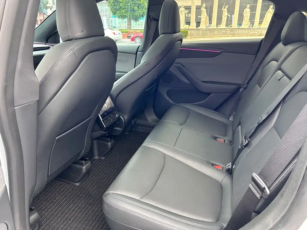 Tesla Model Y — миниатюра 6