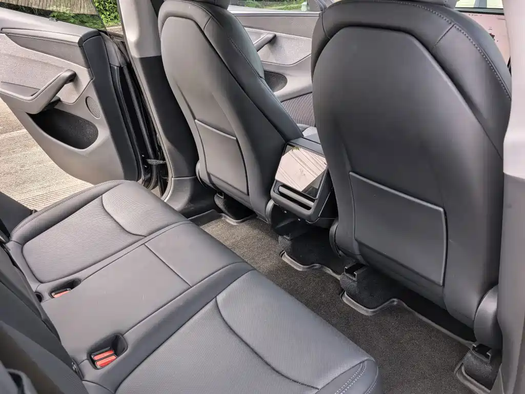 Tesla Model Y — миниатюра 8