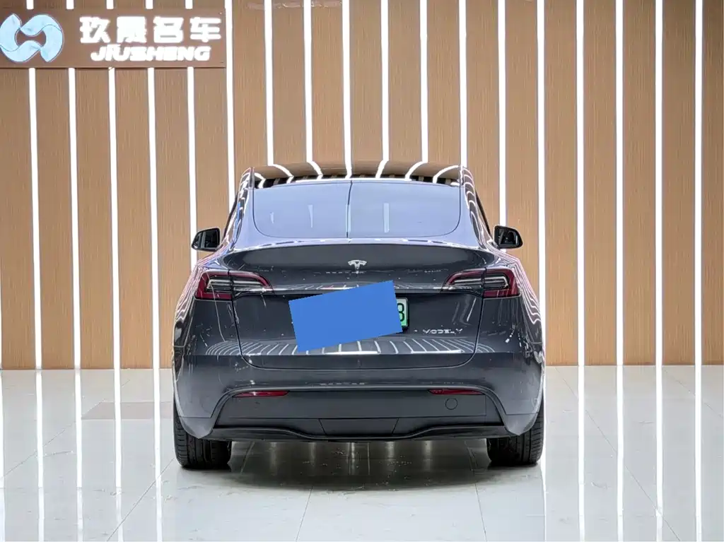 Tesla Model Y — фотографии объявления, Фото 20
