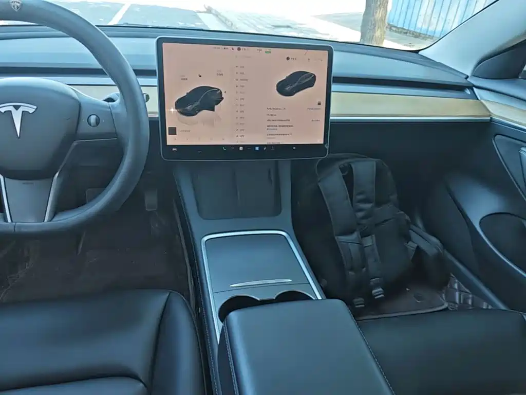 Tesla Model 3 — миниатюра 13