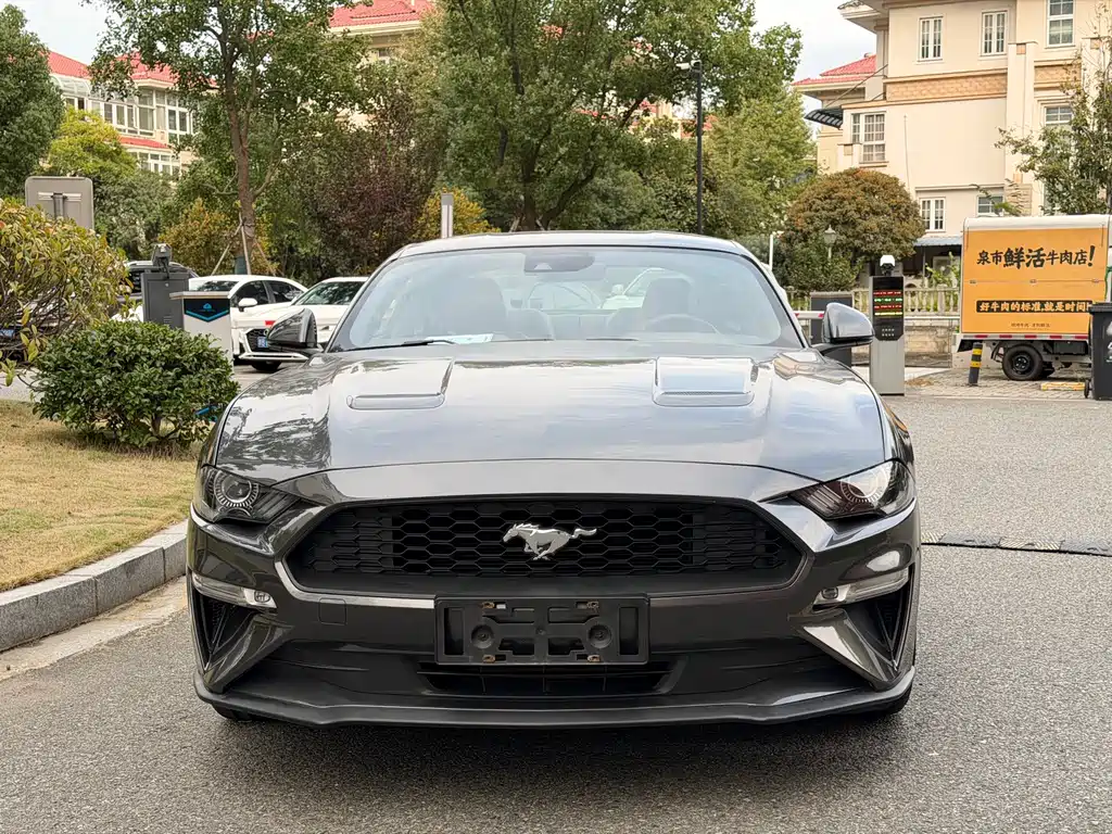 Ford Mustang — миниатюра 2