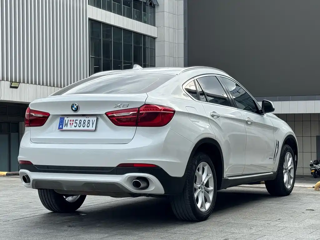 BMW X6 — миниатюра 19