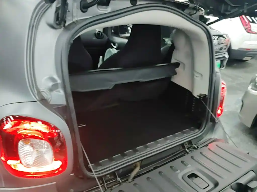 smart Smart Fortwo — миниатюра 19