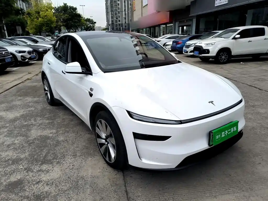 Tesla Model Y — миниатюра 4
