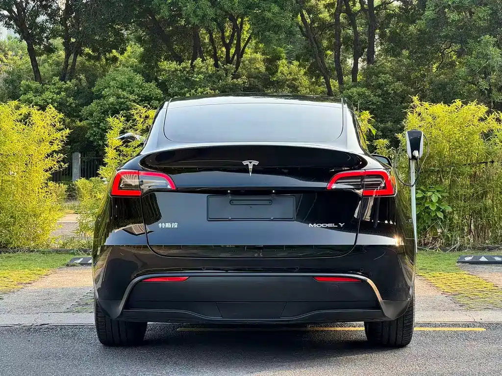 Tesla Model Y — миниатюра 5