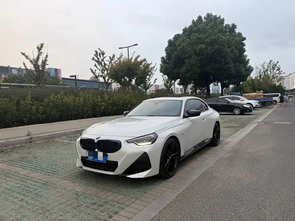 BMW 2 Series (Import)