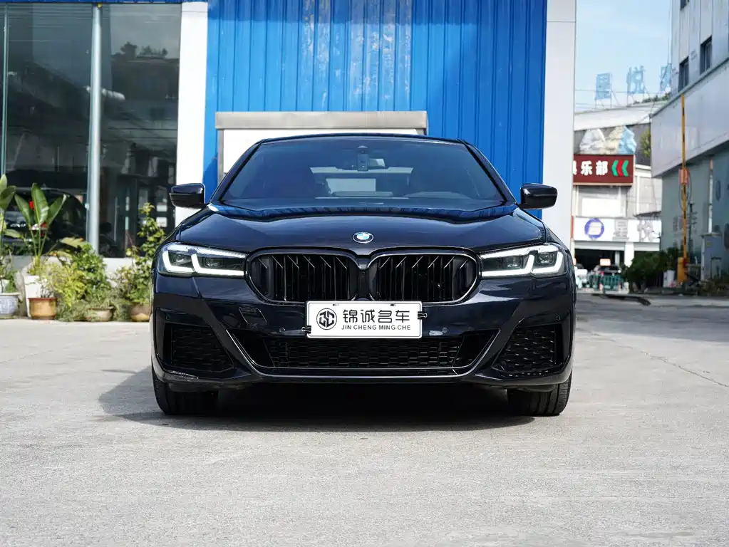 BMW 5 Series — миниатюра 3