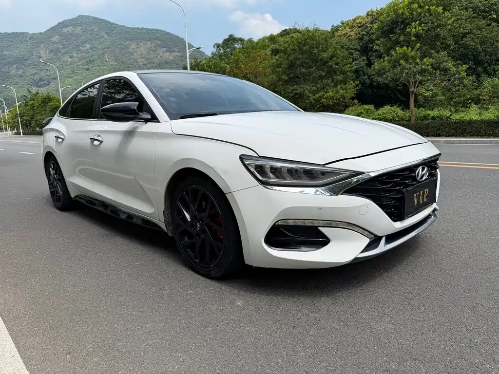 Hyundai Fista — миниатюра 3