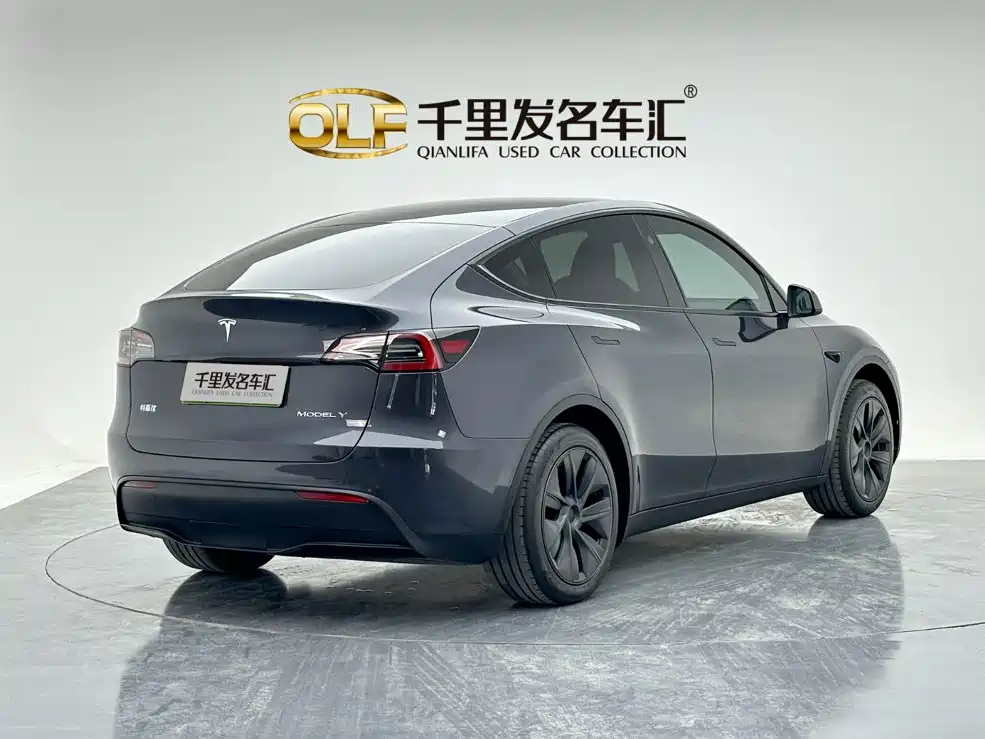 Tesla Model Y — миниатюра 5