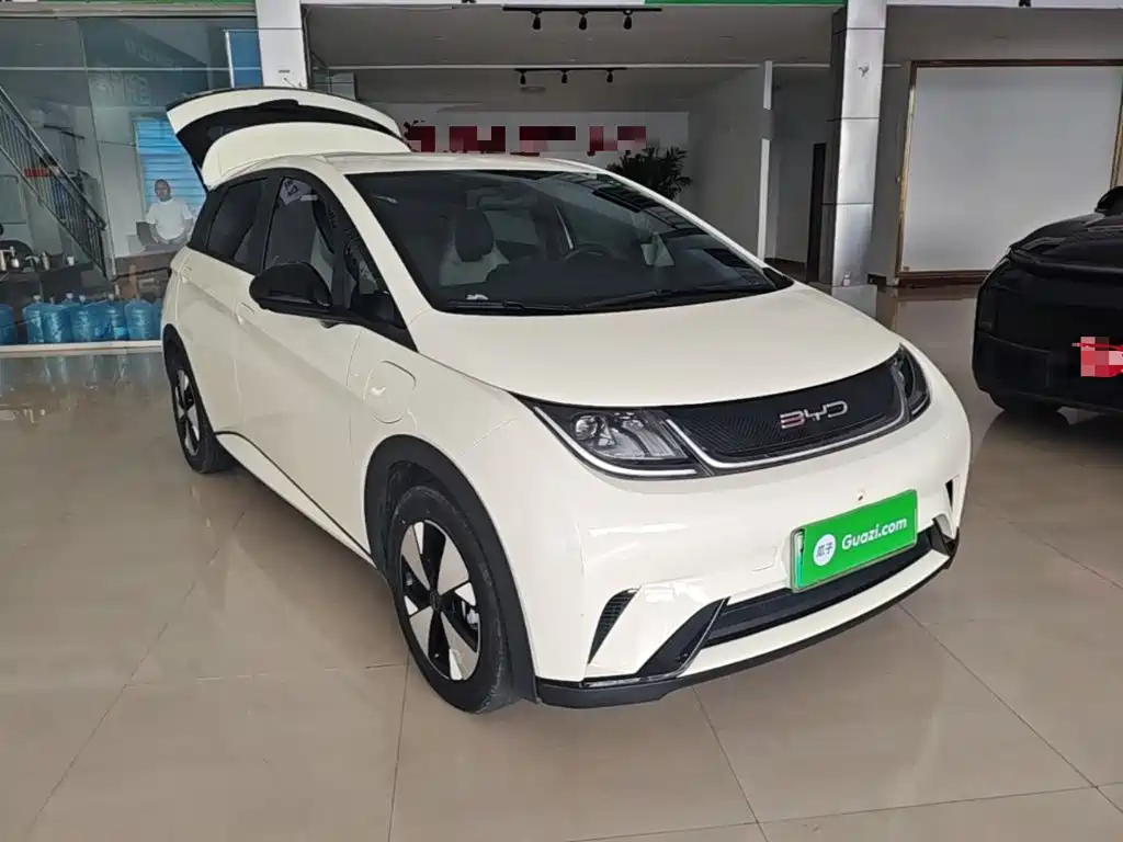 BYD Dolphin — миниатюра 4